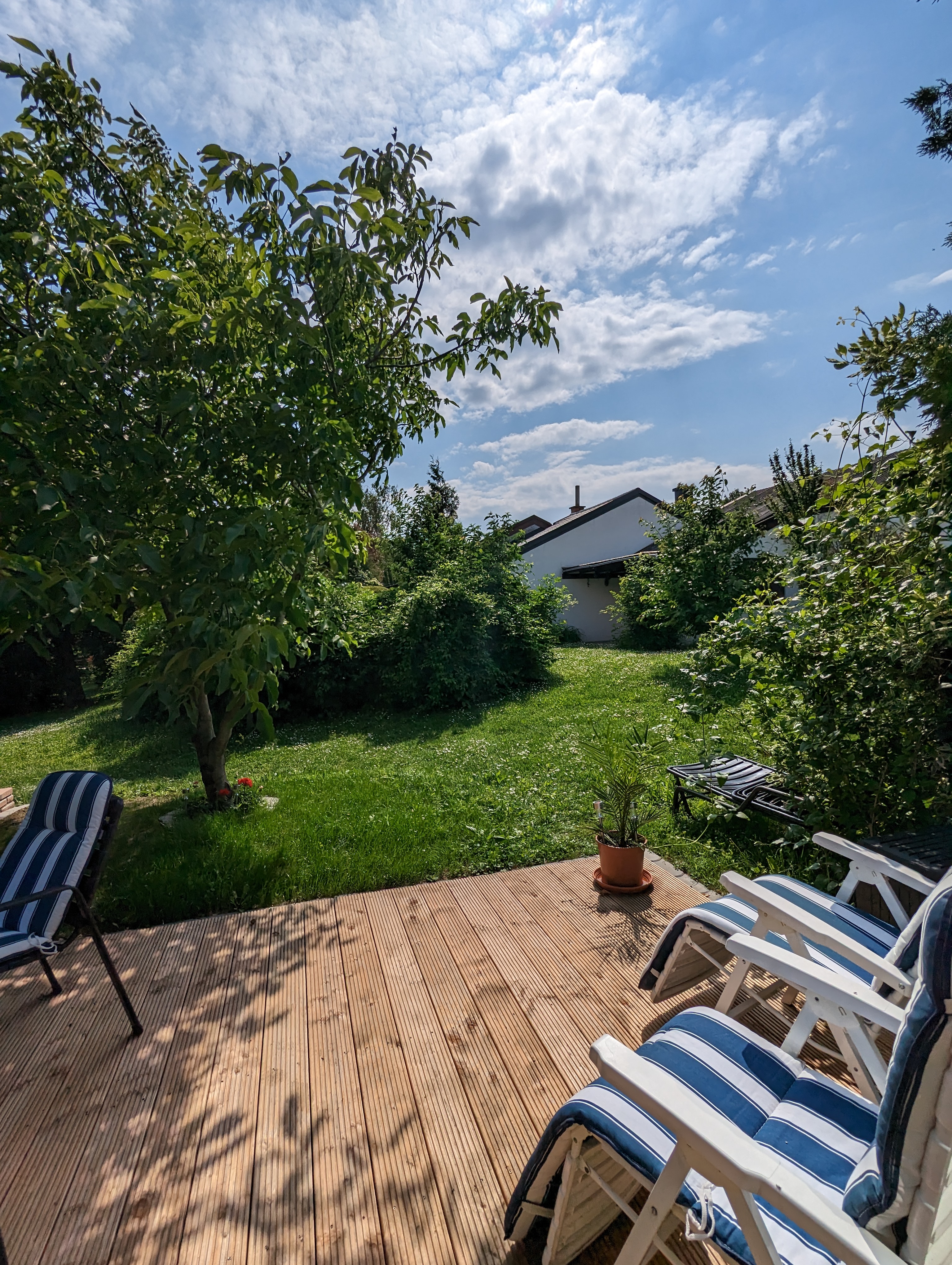 GardenView - image 9